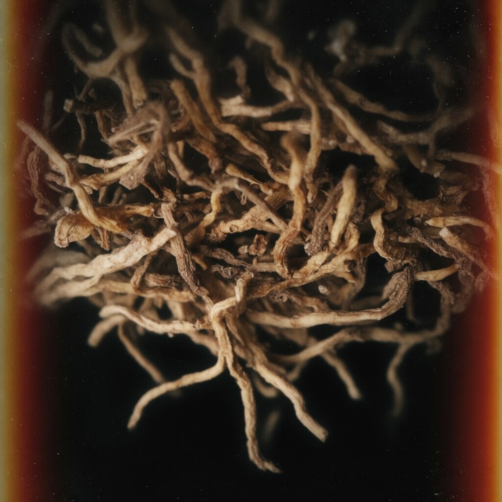 津玉竹 商品圖3 - 更有福麻辣批發