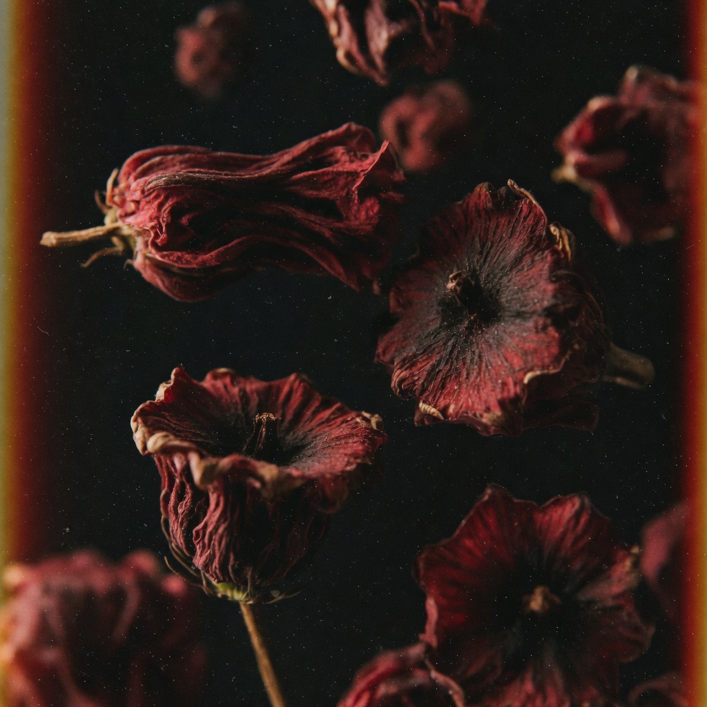 洛神花 商品圖3 - 更有福麻辣批發